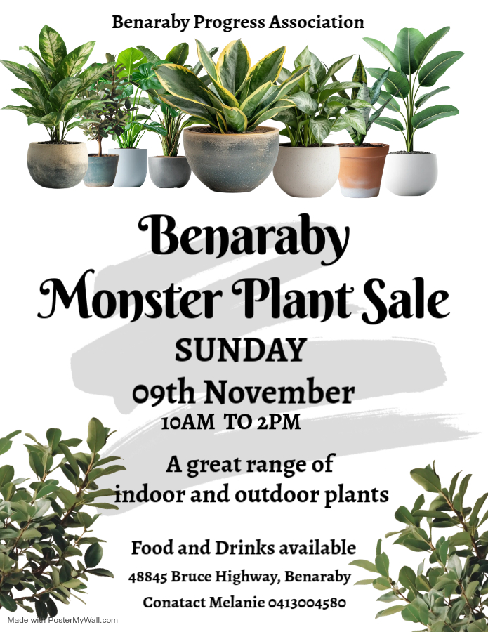 Benaraby monster plant sale