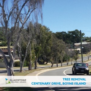 Centenary drive boyne island, tree removal