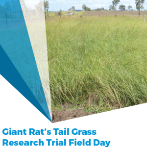 Giant Rats Tail Grass Field Day Tile