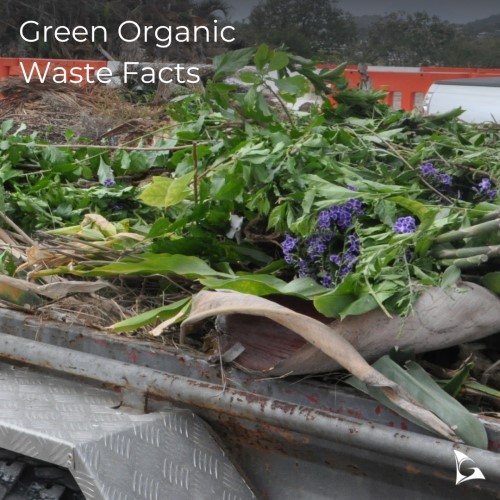 Green organic waste