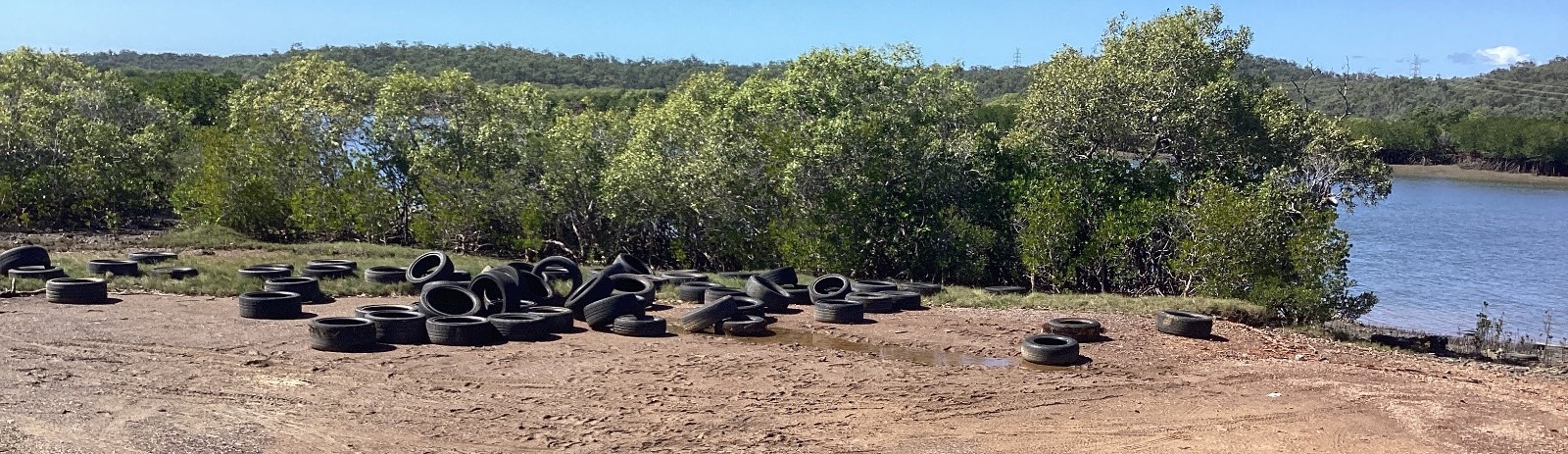 Illegal dumping of tyres south trees