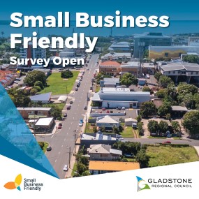 Small Business Friendly Survey