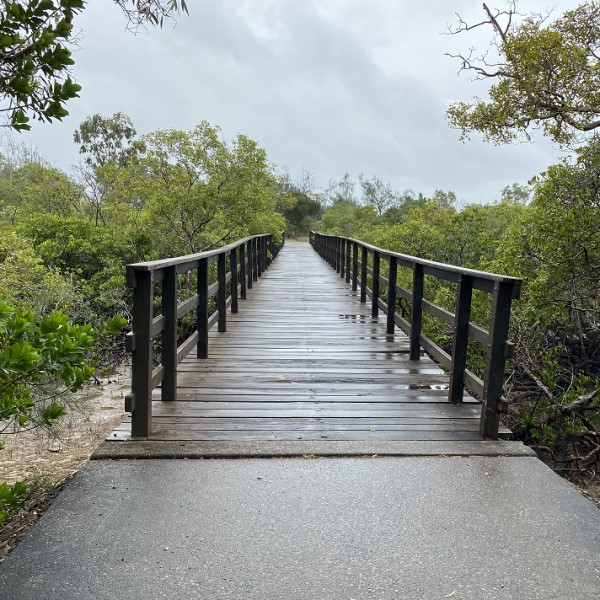 Turtleway footbridge repairs feb 2025