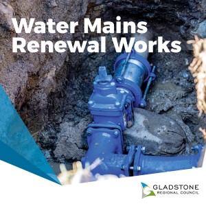 Water mains renewal works