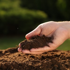 Shutterstock 2496524301 soils