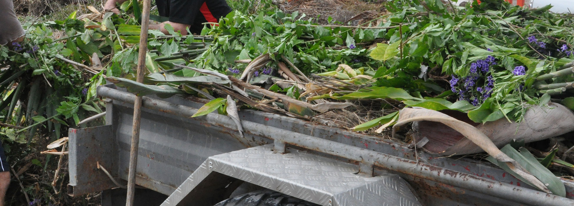 Green Waste at Landfill