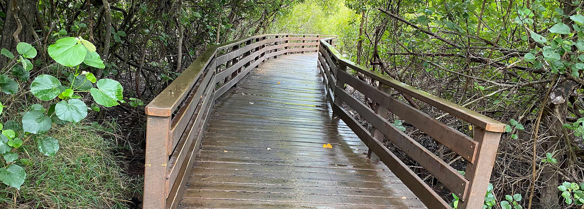 Stirling park footbridge before